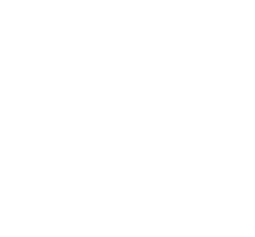 Stefanovic Project System